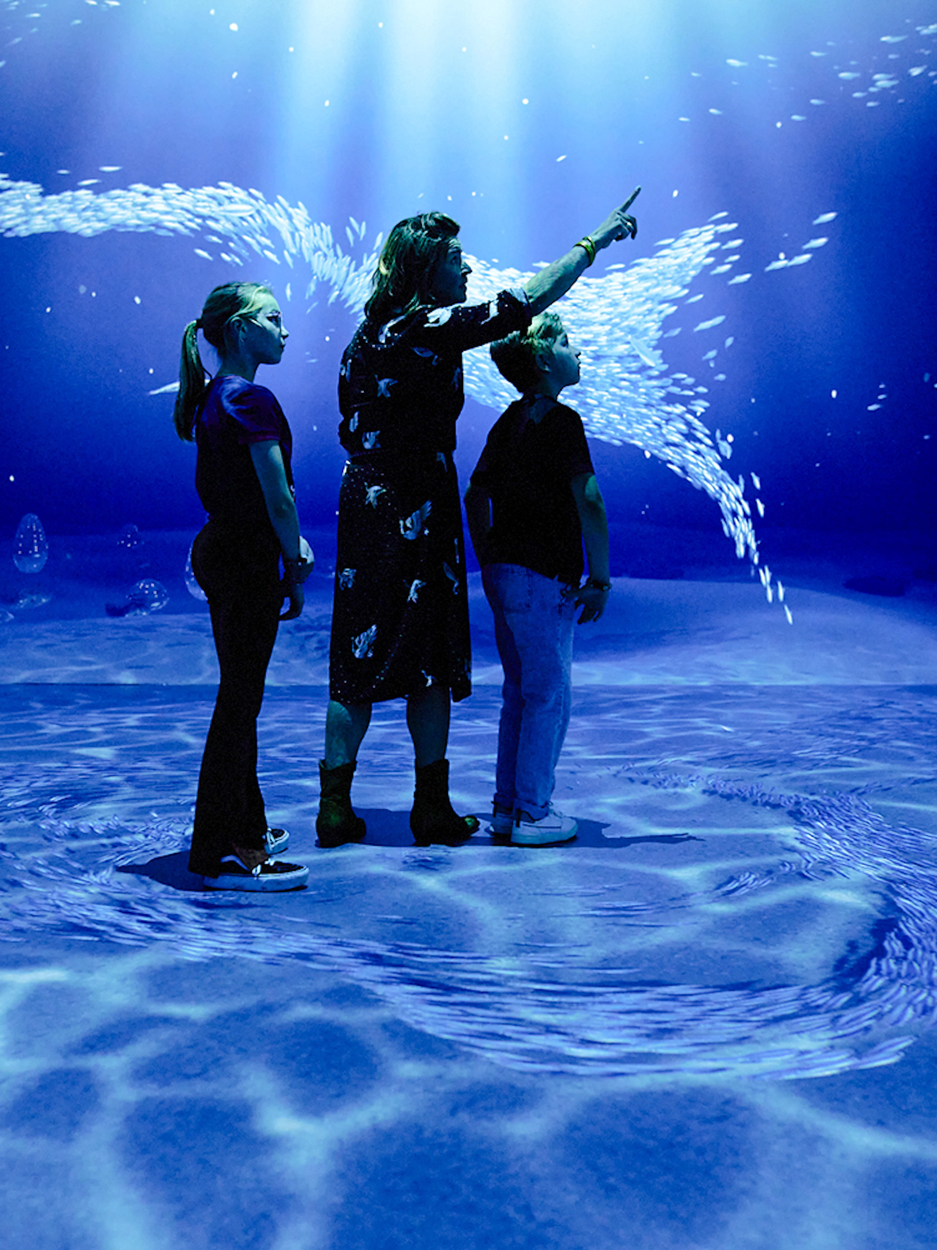 Guests exploring underwater visuals at the Remastered audiovisual experience in Rotterdam.