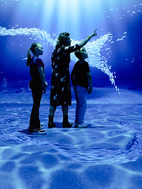 Guests exploring underwater visuals at the Remastered audiovisual experience in Rotterdam.