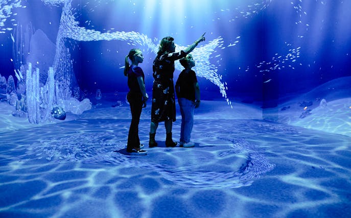 Guests exploring underwater visuals at the Remastered audiovisual experience in Rotterdam.