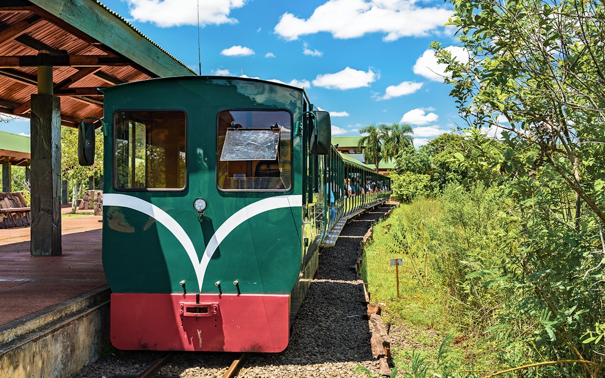 Train at station heading to Iguazu Falls through lush greenery.