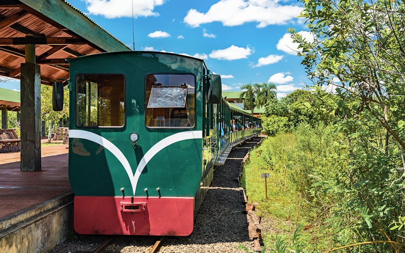 Train at station heading to Iguazu Falls through lush greenery.