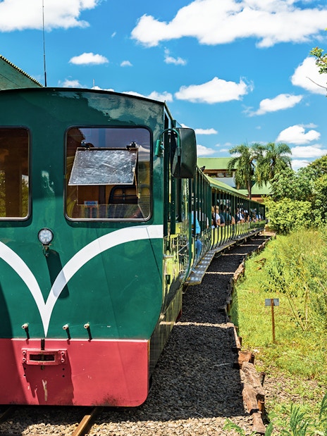 Train at station heading to Iguazu Falls through lush greenery.