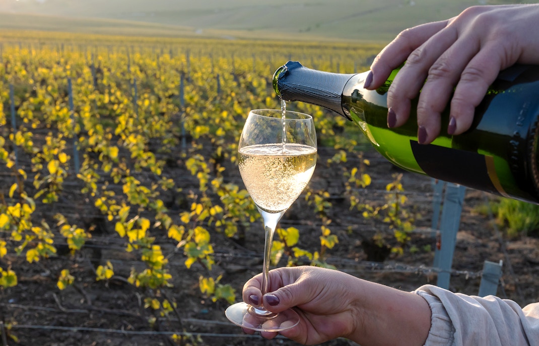 Carricante vineyards with Mount Etna in the background, Sicily, Italy.
