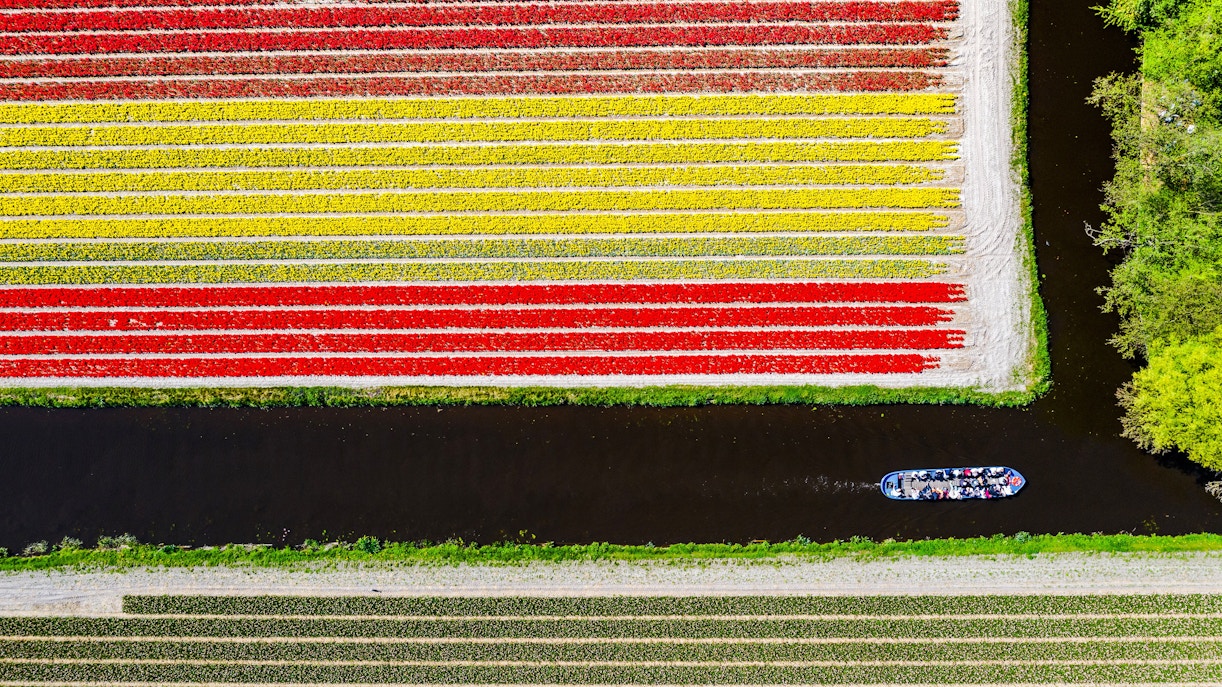 Boat touring canal alongside colorful tulip fields near Keukenhof.