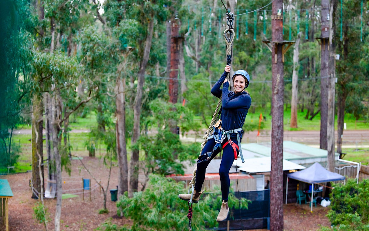 Ziplining through Ludlow Tuart Forest in Western Australia.