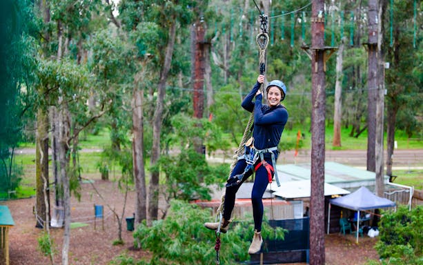 Ziplining through Ludlow Tuart Forest in Western Australia.