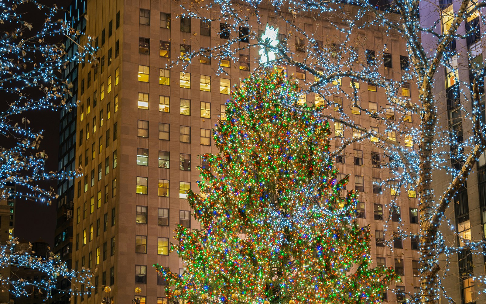 Rockefeller Center Christmas Tree