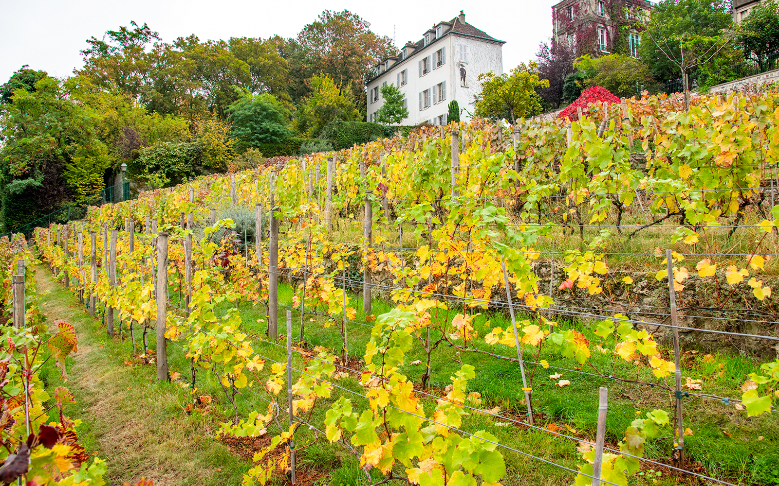 Top attractions in Montmartre during Christmas