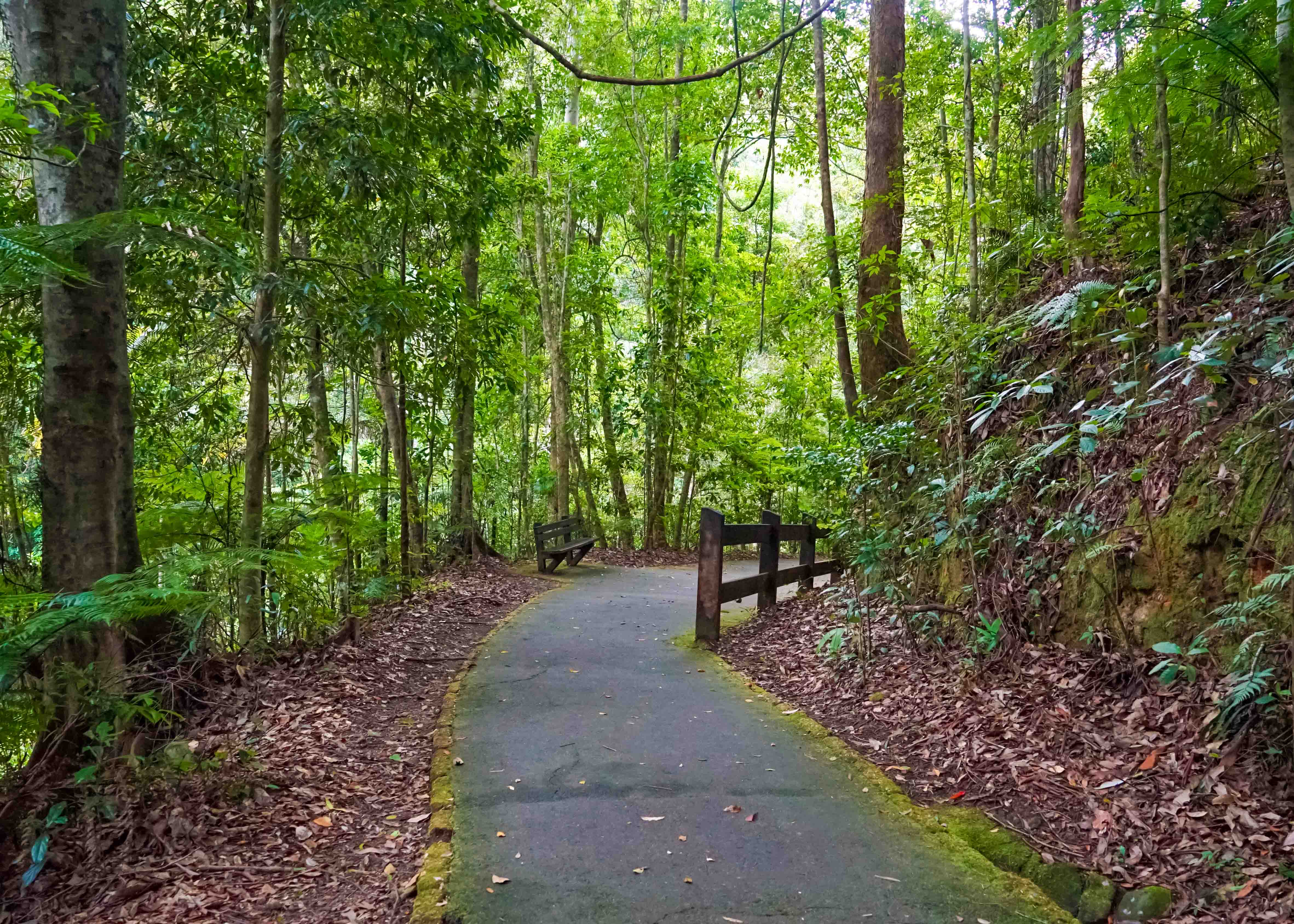 Things to do in Gold Coast