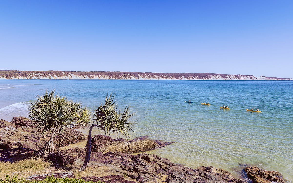6-hour guided kayak dolphin tour and 4wd beach adventure from noosa-4 6-hour guided kayak dolphin tour and 4wd beach adventure from noosa-4