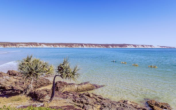 Kayakers paddling near the shore with cliffs in the background on a Noosa dolphin tour.