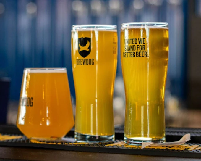 Beer Flight Tasting and Two-Course Dining Experience at BrewDog Dubai