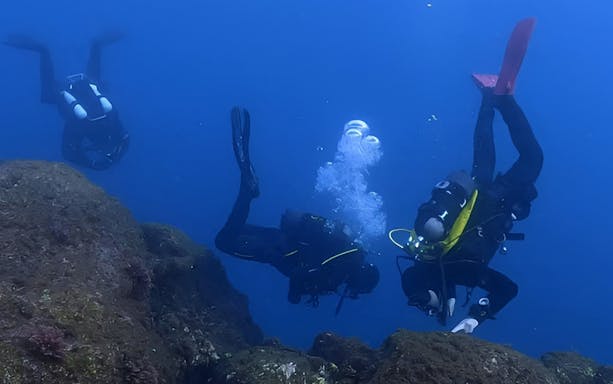 Certified divers exploring underwater rocks in Aci Castello.