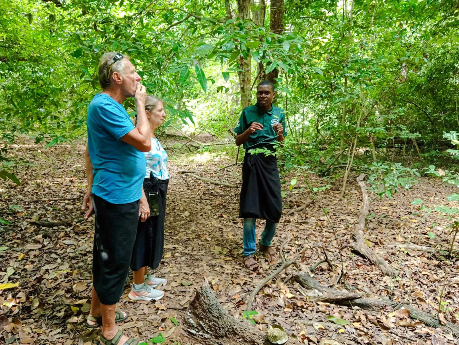 Guide explaining flora to tourists in Kaya Kinondo Forest, Diani Beach.