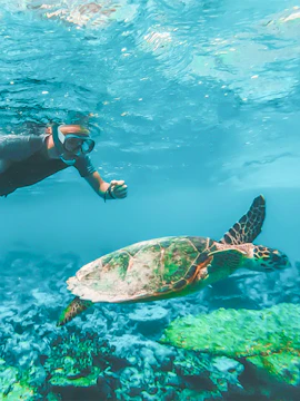 Snorkeler swimming alongside a sea turtle in clear ocean waters.