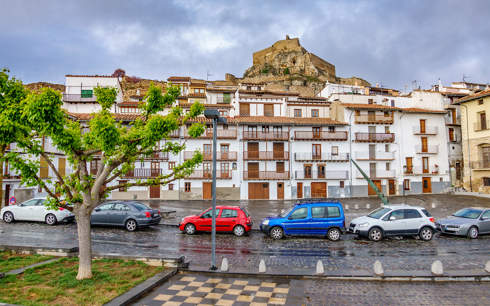 Morella