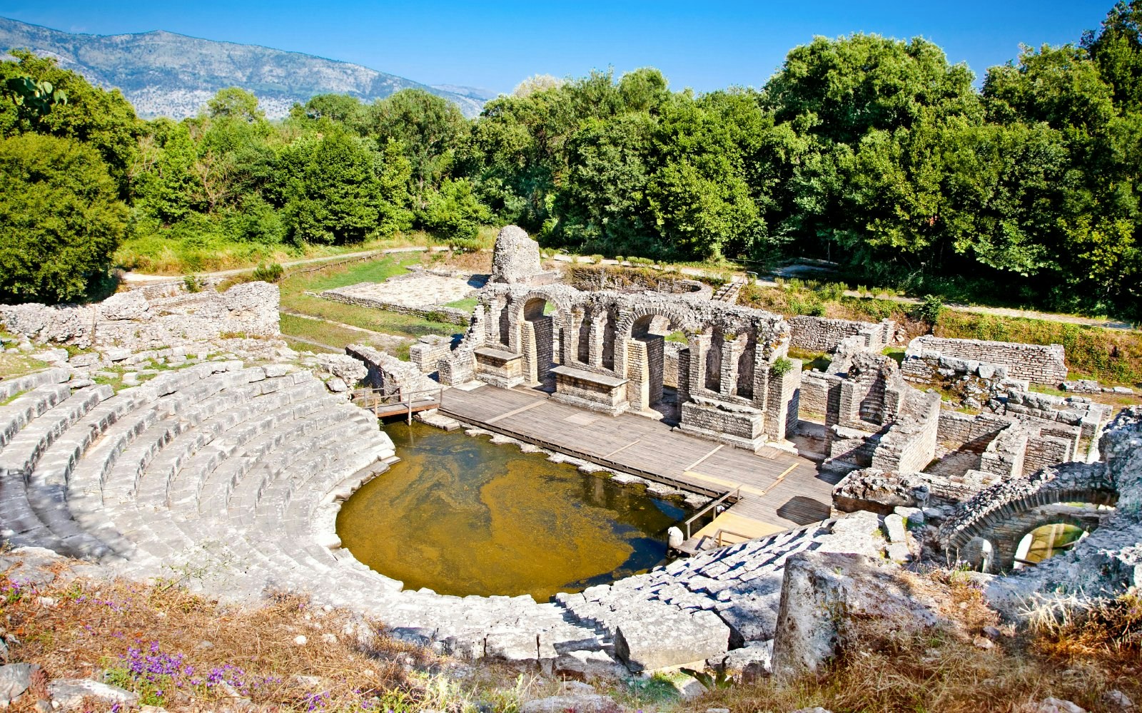 Amphitheater ruins at the ancient Baptistery in Butrint, Albania, surrounded by lush greenery.