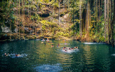 People swimming in a cenote surrounded by lush vegetation in Chichen Itza, Mexico.