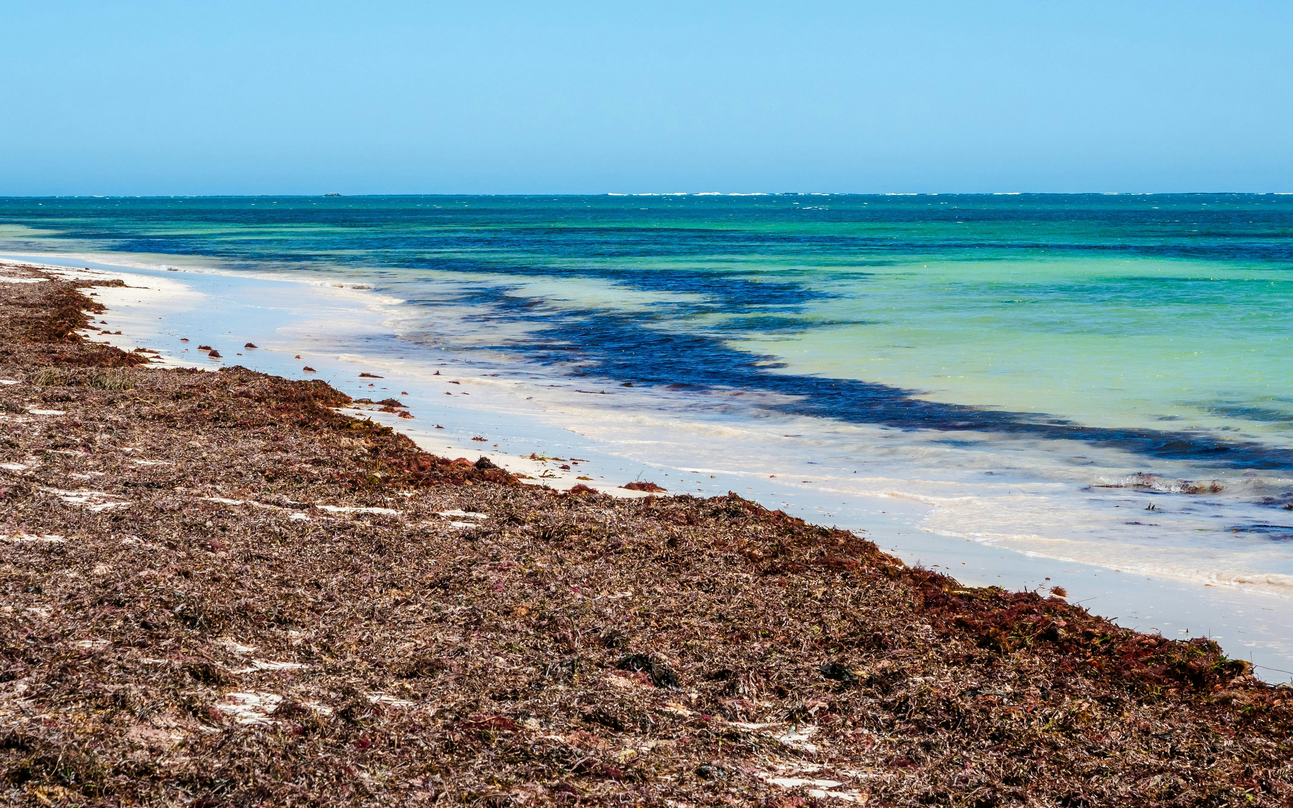 Nambung Beach
