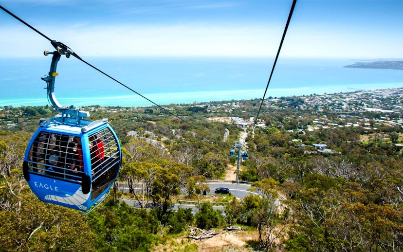 Arthurs Seat Eagle gondola overlooking coastline and forested landscape.