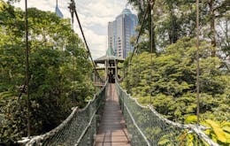 3 days in rome -  vatican necropolis