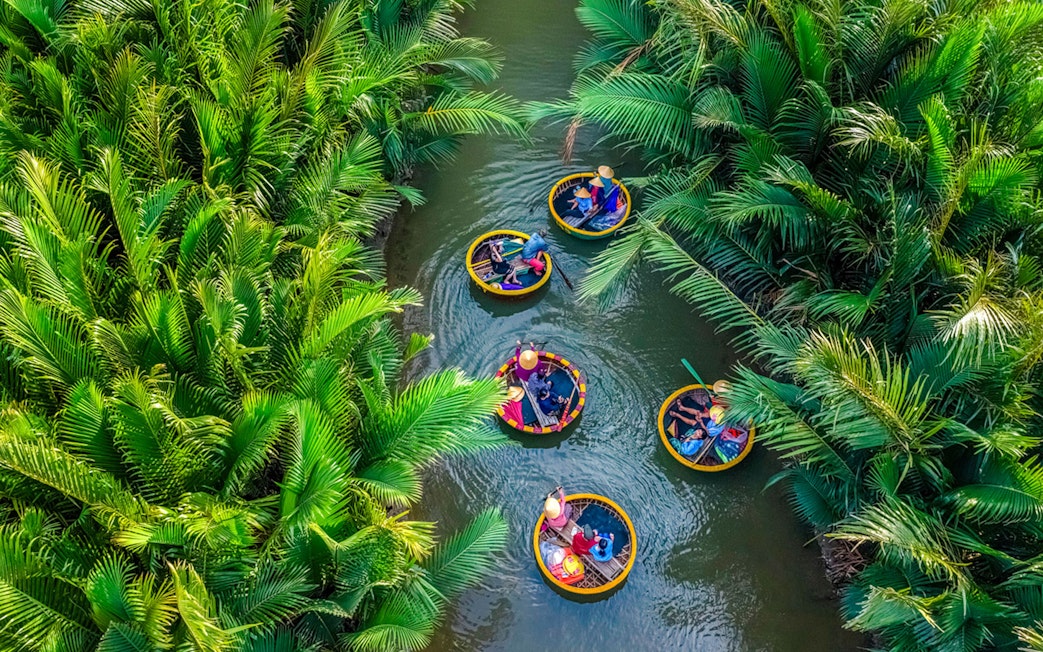 Aerial view of basket boats navigating through lush coconut water palms.