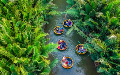 Aerial view of basket boats navigating through lush coconut water palms.