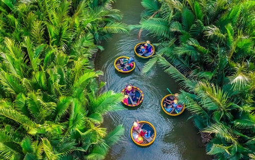 Aerial view of basket boats navigating through lush coconut water palms.