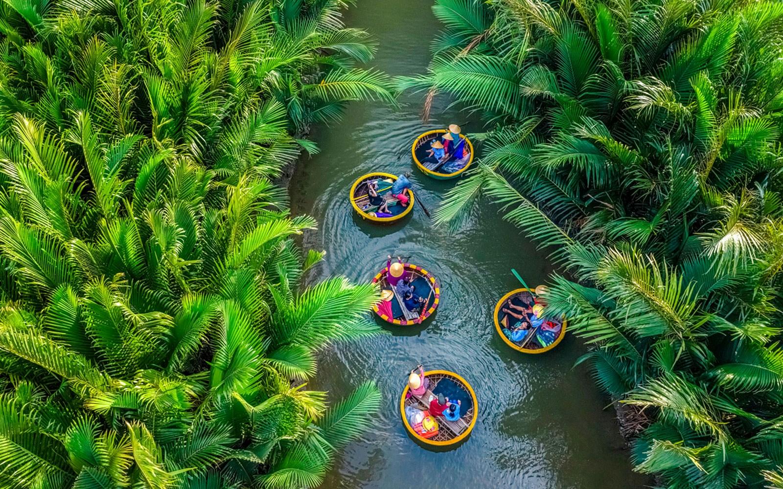 Aerial view of basket boats navigating through lush coconut water palms.