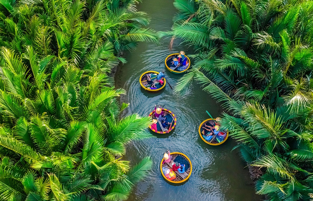 Aerial view of basket boats navigating through lush coconut water palms.