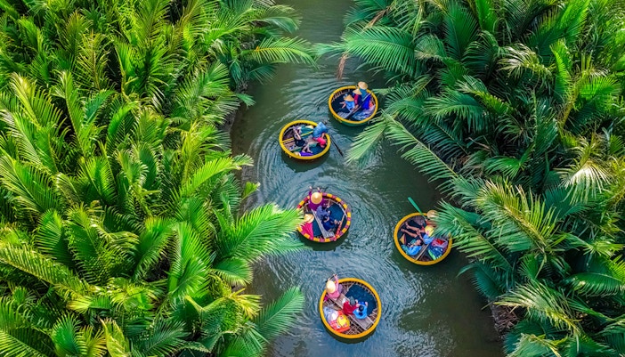 Aerial view of basket boats navigating through lush coconut water palms.
