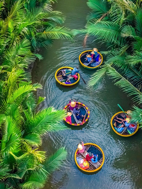 Aerial view of basket boats navigating through lush coconut water palms.