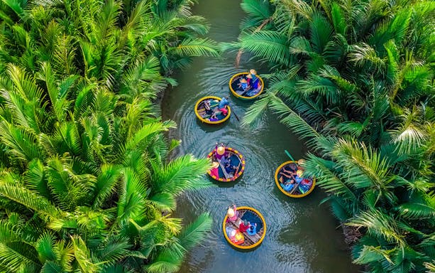 Aerial view of basket boats navigating through lush coconut water palms.
