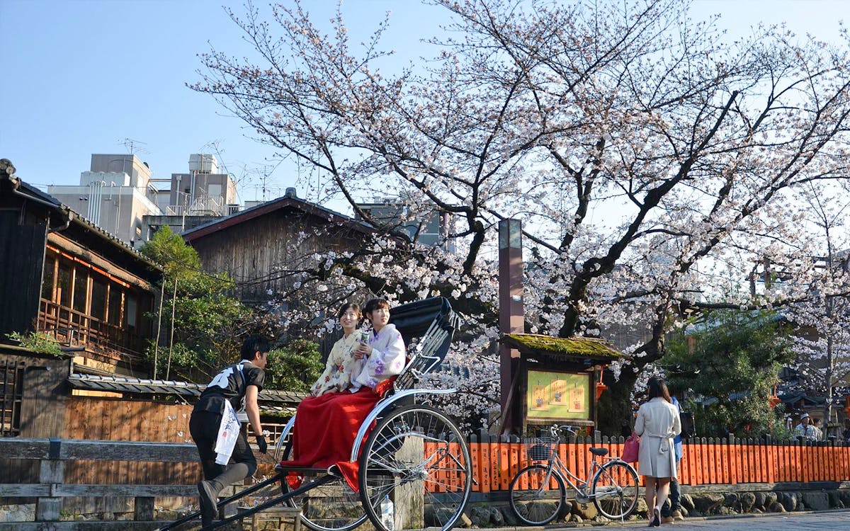 private cherry blossom tour in kyoto with local host-2 private cherry blossom tour in kyoto with local host-2