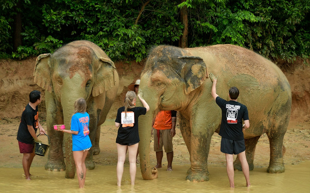 Tourists interacting with elephants at Elephant Jungle Sanctuary in Phuket.