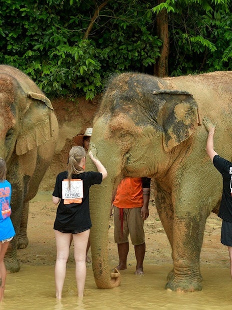 Tourists interacting with elephants at Elephant Jungle Sanctuary in Phuket.