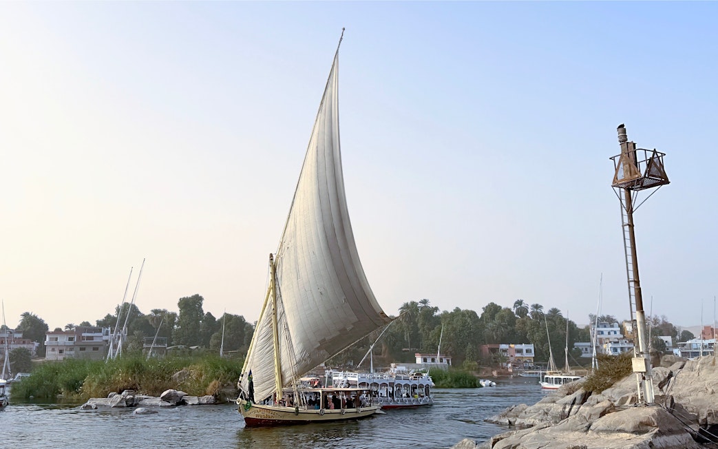Felucca sailing on the Nile River near Cairo with buildings and greenery in the background.