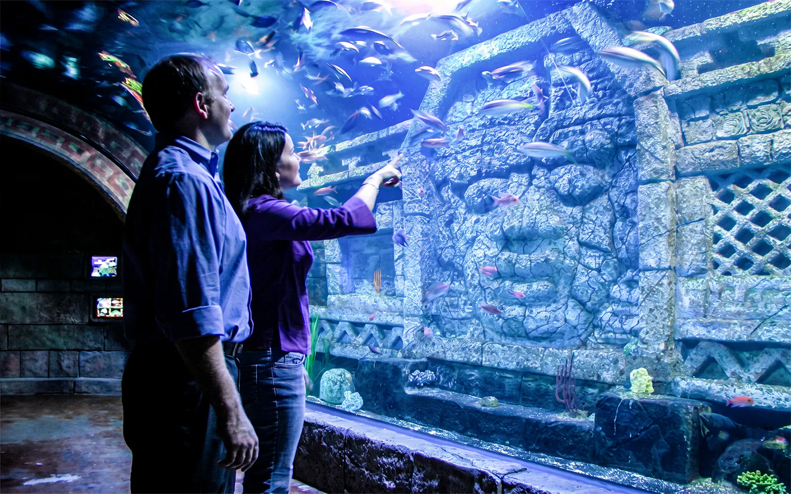 Visitors observing fish in the Downtown Aquarium Houston's ancient ruins exhibit.