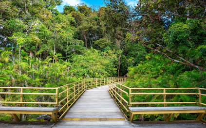 Intrarea principală în Parcul Național Manuel Antonio