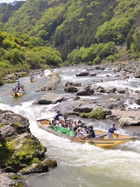 Boat ride on Hozugawa River in Kyoto with cherry blossoms and lush greenery.