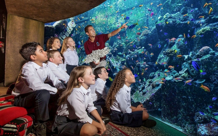 Children observing colorful fish at The Lost Chambers Aquarium, Dubai, during Atlantis Fish Tales Tour.