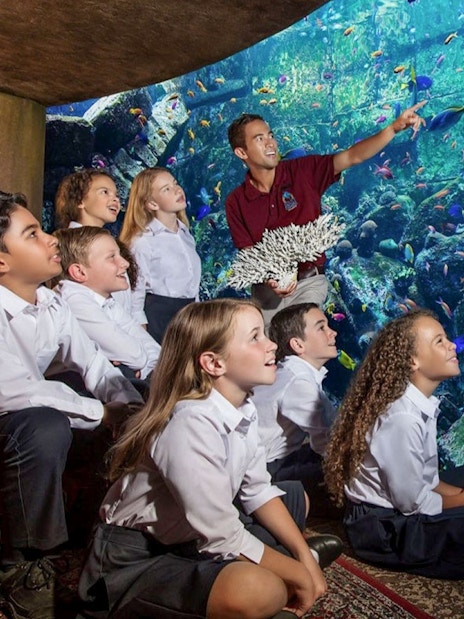 Children observing colorful fish at The Lost Chambers Aquarium, Dubai, during Atlantis Fish Tales Tour.