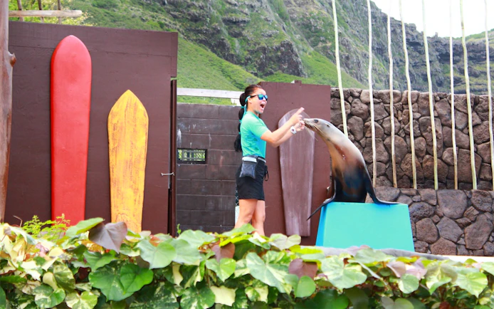 Trainer interacting with a sea lion at Sea Life Park Hawaii.