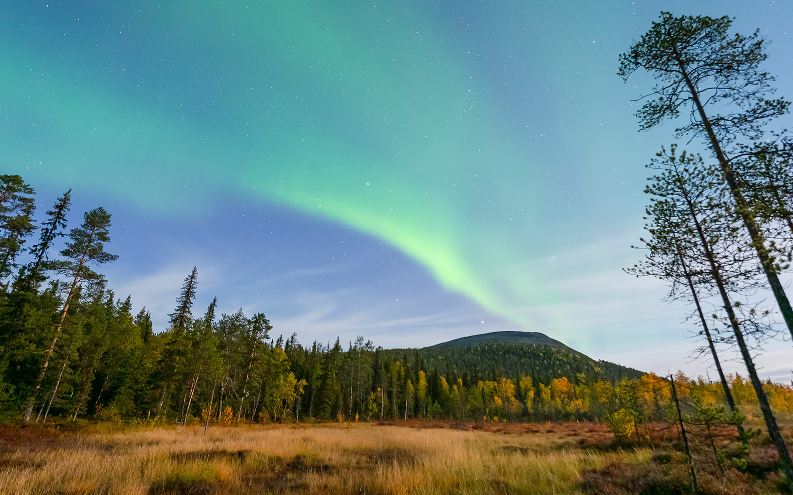 Northern lights over Kesänki in Yllas district