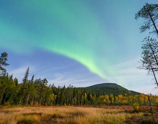 Northern lights over Kesänki in Yllas district