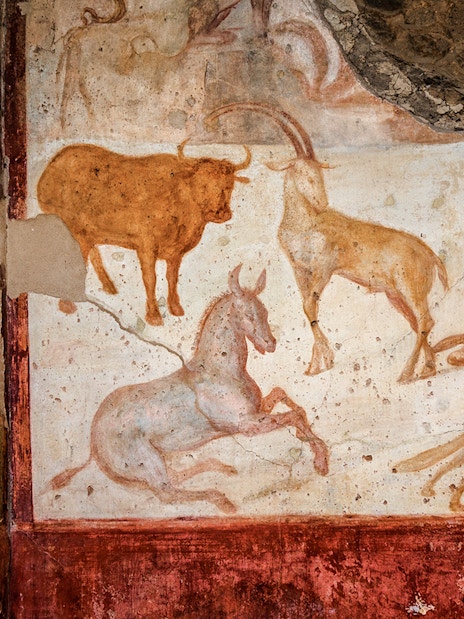 Ancient fresco of animals on a wall in Pompeii, Italy.
