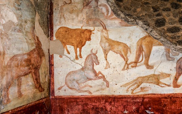 Ancient fresco of animals on a wall in Pompeii, Italy.