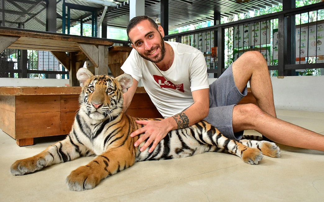 Non-Thai tourist sitting with a tiger at Tiger Park Pattaya.