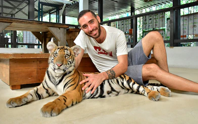 Non-Thai tourist sitting with a tiger at Tiger Park Pattaya.