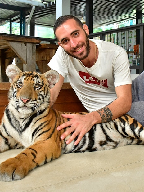 Non-Thai tourist sitting with a tiger at Tiger Park Pattaya.